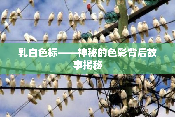 乳白色标——神秘的色彩背后故事揭秘