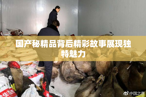 国产秘精品背后精彩故事展现独特魅力