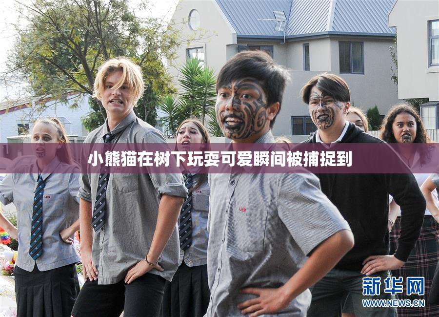 小熊猫在树下玩耍可爱瞬间被捕捉到