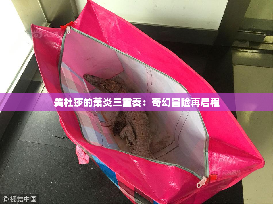 美杜莎的萧炎三重奏：奇幻冒险再启程