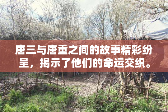 唐三与唐重之间的故事精彩纷呈，揭示了他们的命运交织。