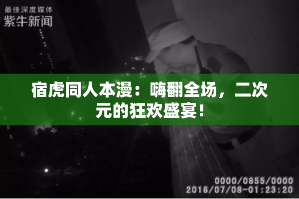 宿虎同人本漫：嗨翻全场，二次元的狂欢盛宴！