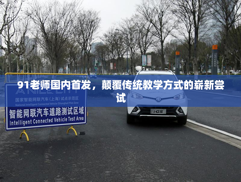 91老师国内首发，颠覆传统教学方式的崭新尝试