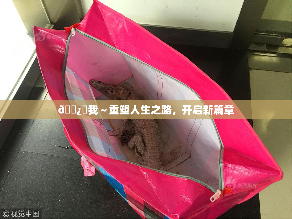 🌿‌我～重塑人生之路，开启新篇章