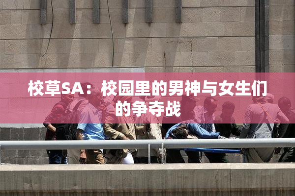 校草SA：校园里的男神与女生们的争夺战