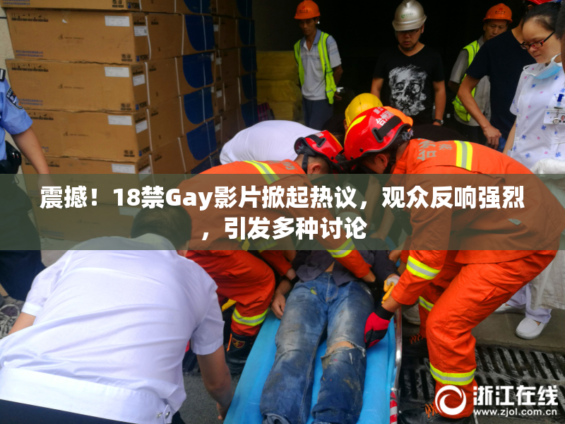 震撼！18禁Gay影片掀起热议，观众反响强烈，引发多种讨论