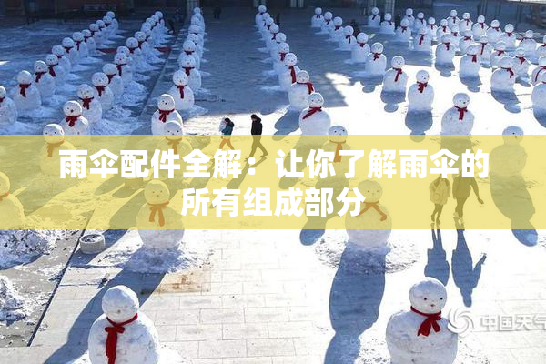 雨伞配件全解：让你了解雨伞的所有组成部分