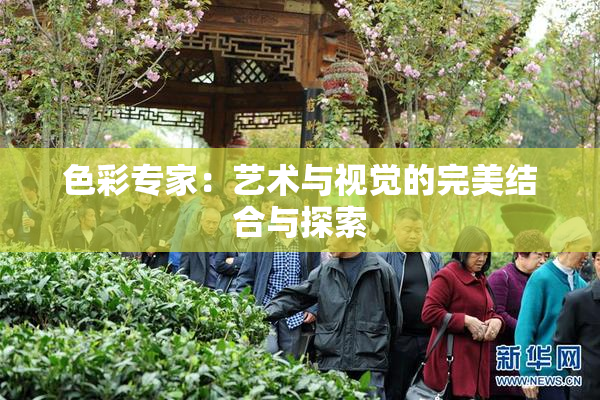 色彩专家：艺术与视觉的完美结合与探索