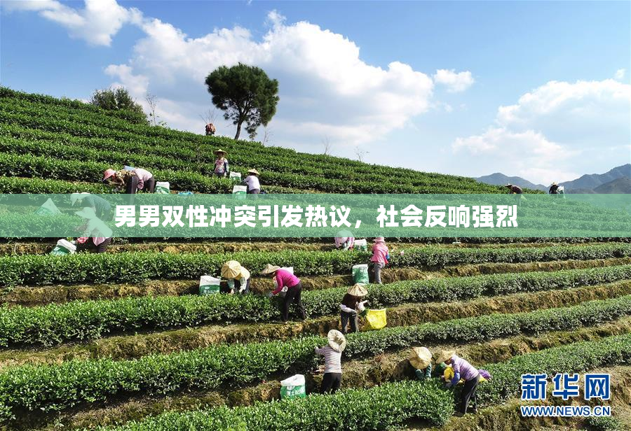 男男双性冲突引发热议，社会反响强烈