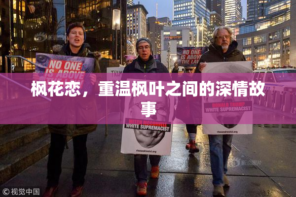 枫花恋，重温枫叶之间的深情故事
