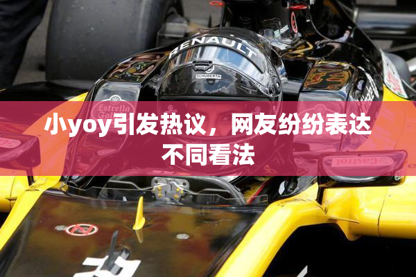 小yoy引发热议，网友纷纷表达不同看法