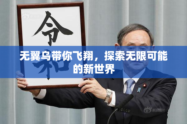 无翼乌带你飞翔，探索无限可能的新世界