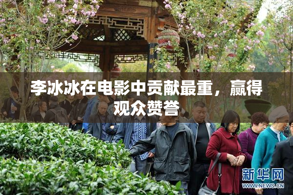 李冰冰在电影中贡献最重，赢得观众赞誉