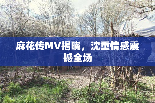 麻花传MV揭晓，沈重情感震撼全场