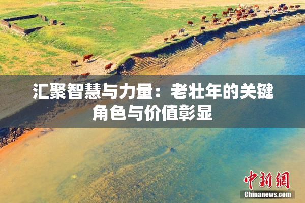 汇聚智慧与力量：老壮年的关键角色与价值彰显