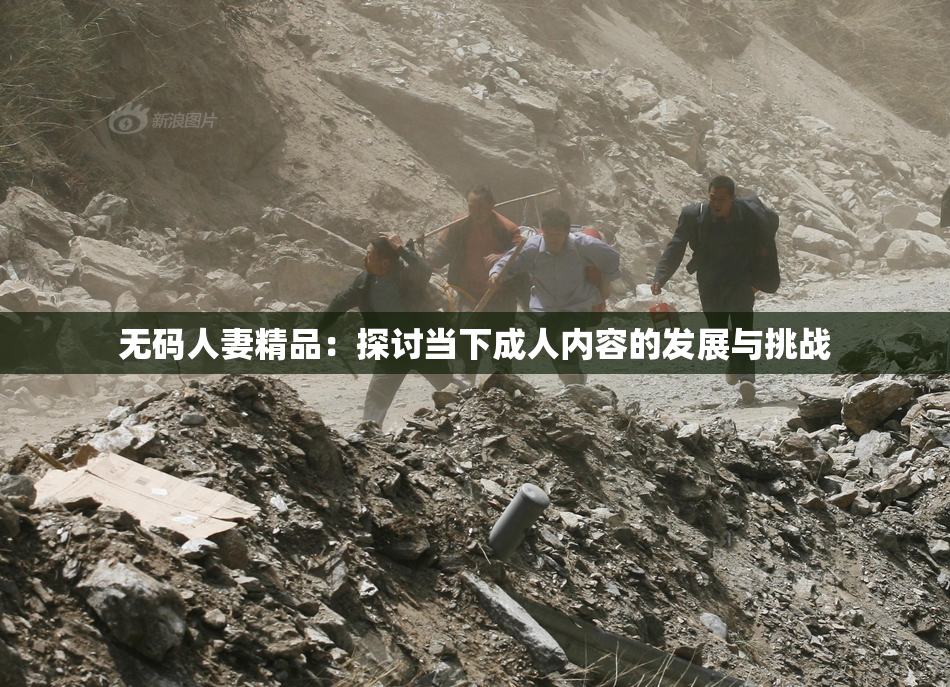 无码人妻精品：探讨当下成人内容的发展与挑战