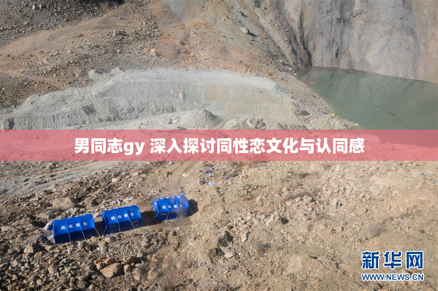 男同志gy 深入探讨同性恋文化与认同感