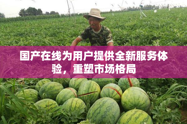 国产在线为用户提供全新服务体验，重塑市场格局