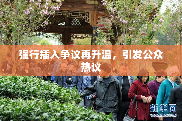 强行插入争议再升温，引发公众热议