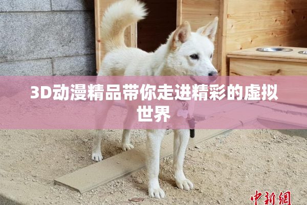 3D动漫精品带你走进精彩的虚拟世界