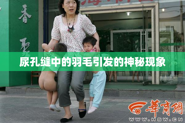 尿孔缝中的羽毛引发的神秘现象