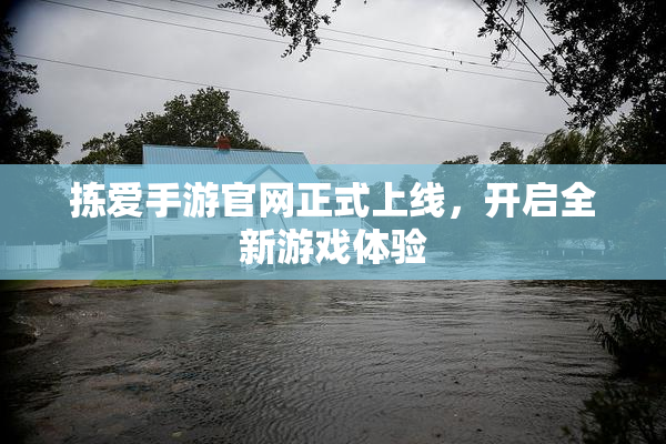 拣爱手游官网正式上线，开启全新游戏体验