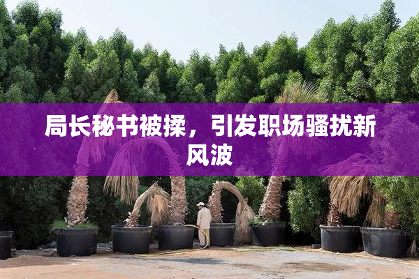 局长秘书被揉，引发职场骚扰新风波