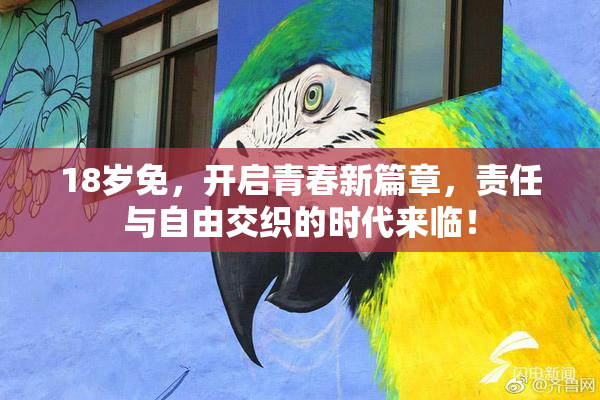 18岁免，开启青春新篇章，责任与自由交织的时代来临！