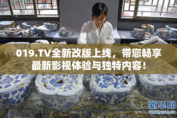 019.TV全新改版上线，带您畅享最新影视体验与独特内容！