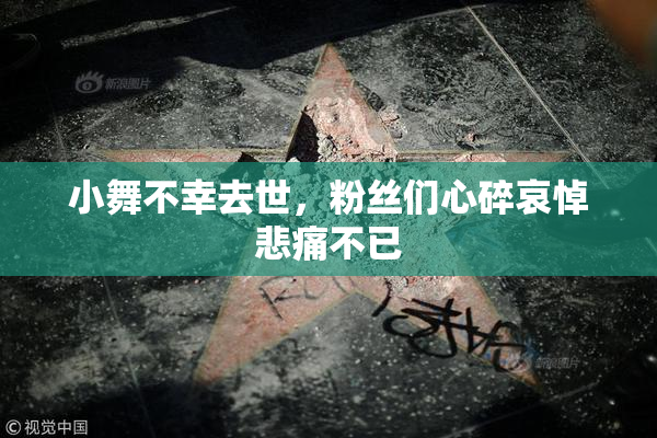 小舞不幸去世，粉丝们心碎哀悼悲痛不已
