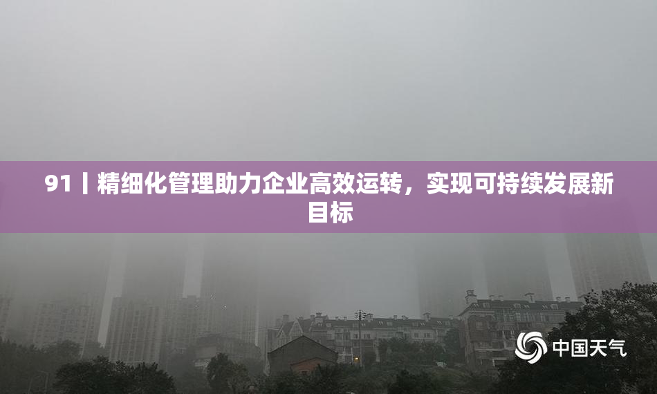 91丨精细化管理助力企业高效运转，实现可持续发展新目标