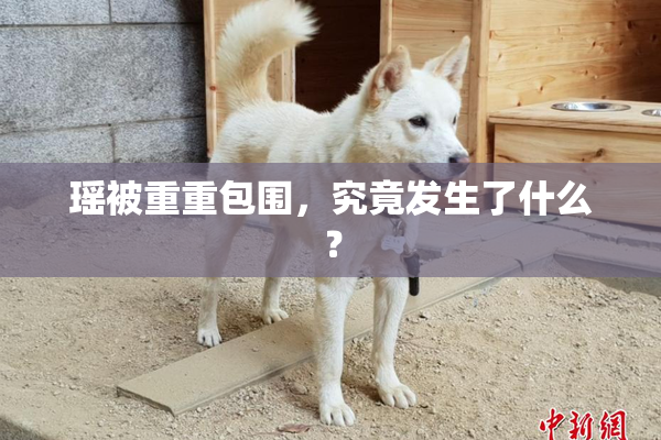 瑶被重重包围，究竟发生了什么？