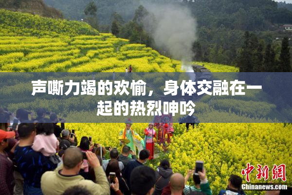 声嘶力竭的欢愉，身体交融在一起的热烈呻吟