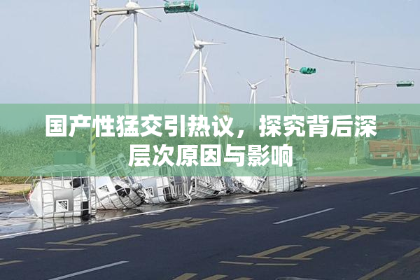国产性猛交引热议，探究背后深层次原因与影响