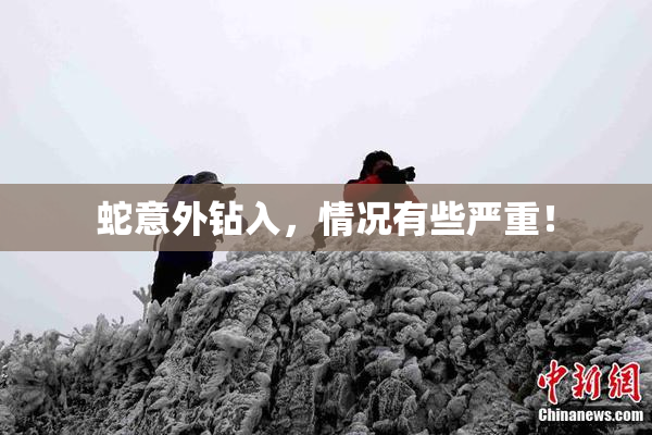 蛇意外钻入，情况有些严重！