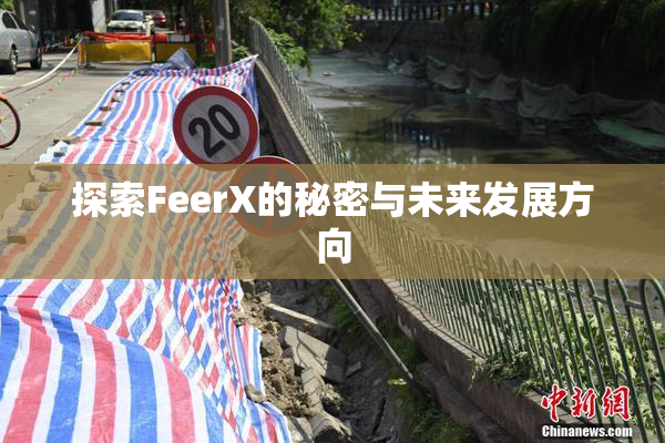 探索FeerX的秘密与未来发展方向