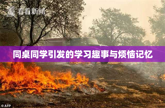 同桌同学引发的学习趣事与烦恼记忆