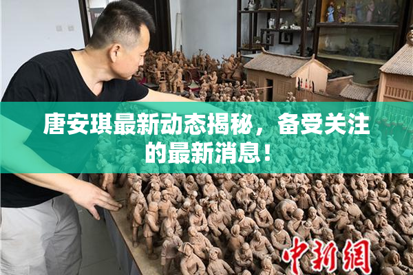 唐安琪最新动态揭秘，备受关注的最新消息！