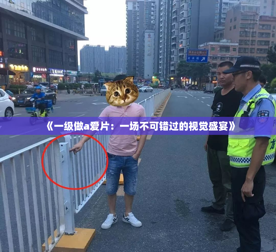 《一级做a爱片：一场不可错过的视觉盛宴》