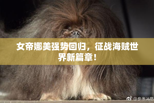 女帝娜美强势回归，征战海贼世界新篇章！