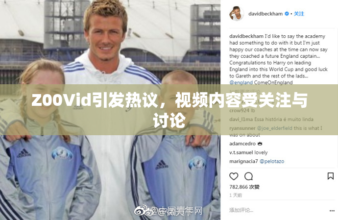 Z00Vid引发热议，视频内容受关注与讨论