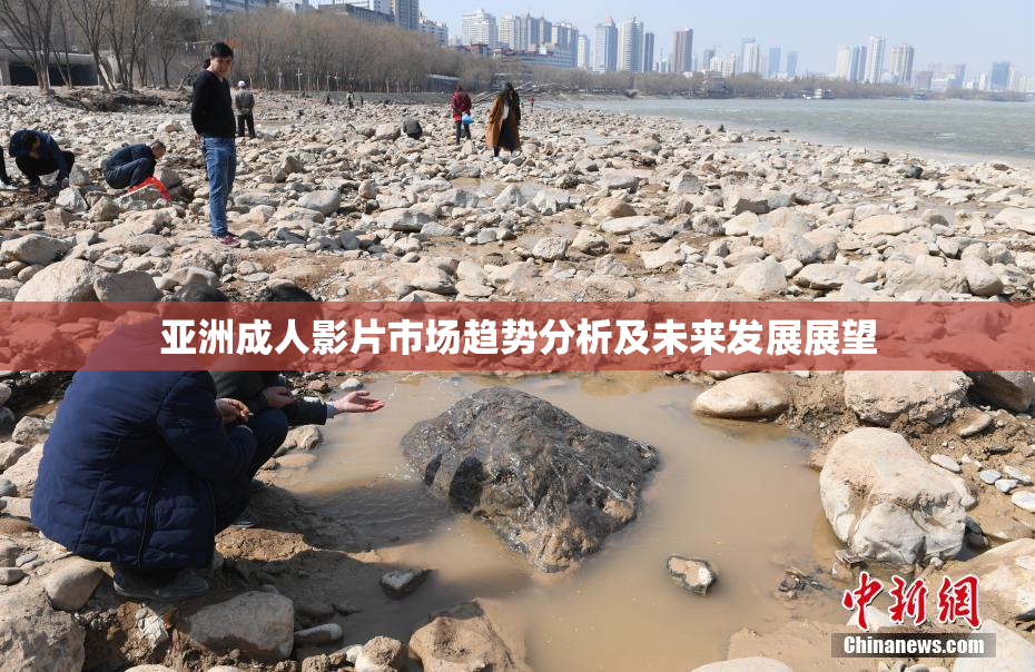 亚洲成人影片市场趋势分析及未来发展展望