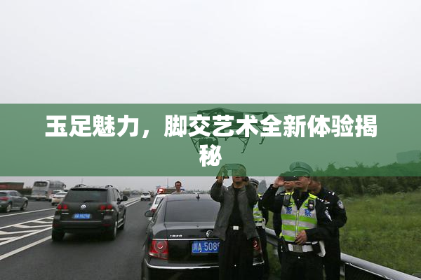 玉足魅力，脚交艺术全新体验揭秘