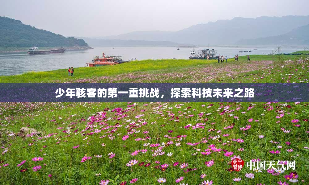 少年骇客的第一重挑战，探索科技未来之路