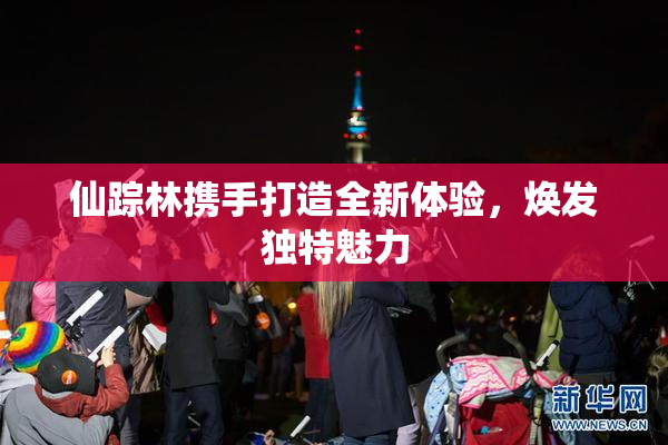仙踪林携手打造全新体验，焕发独特魅力