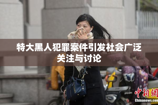 特大黑人犯罪案件引发社会广泛关注与讨论