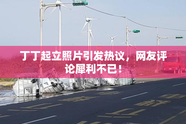 丁丁起立照片引发热议，网友评论犀利不已！