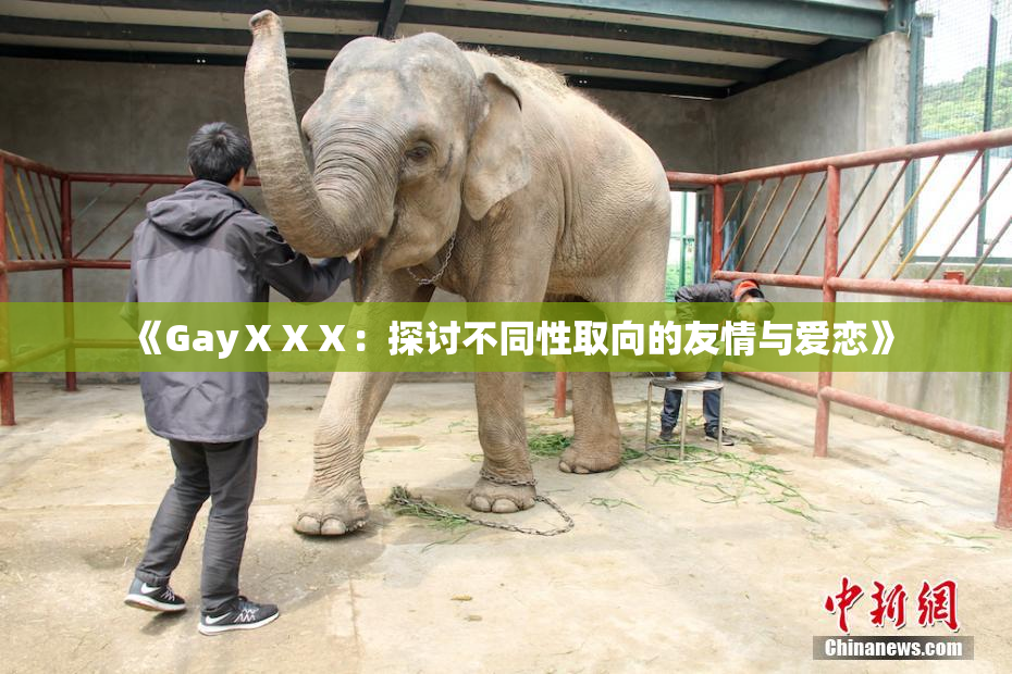 《GayⅩⅩⅩ：探讨不同性取向的友情与爱恋》