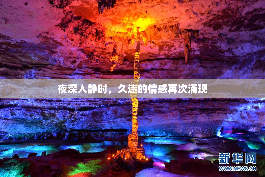 夜深人静时，久违的情感再次涌现