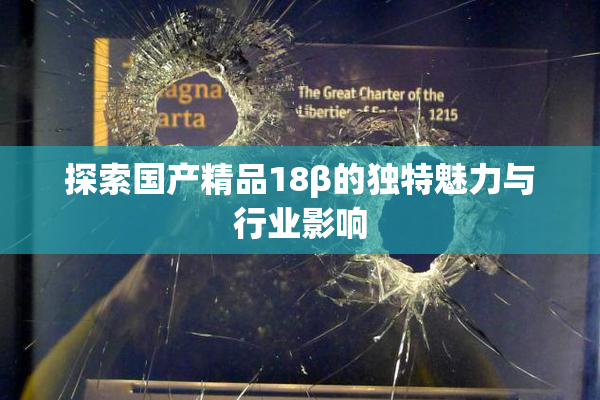 探索国产精品18β的独特魅力与行业影响